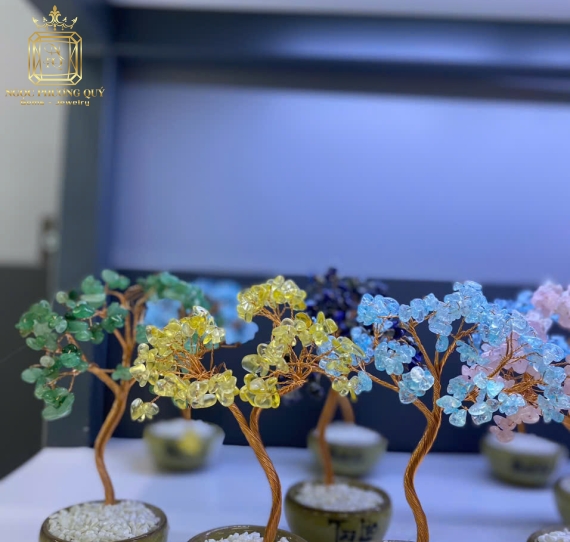 Chậu Tài Lộc Aqua