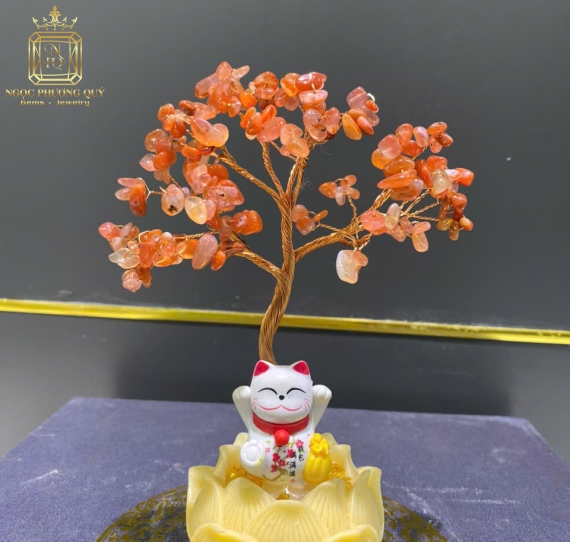 Chậu Tài Lộc Đế Sen