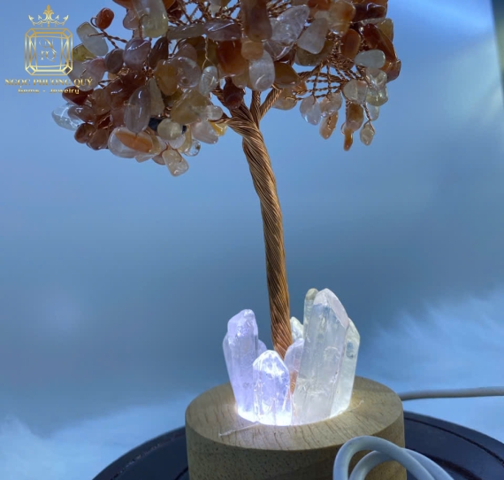 Cây tài lộc thạch anh đế đèn