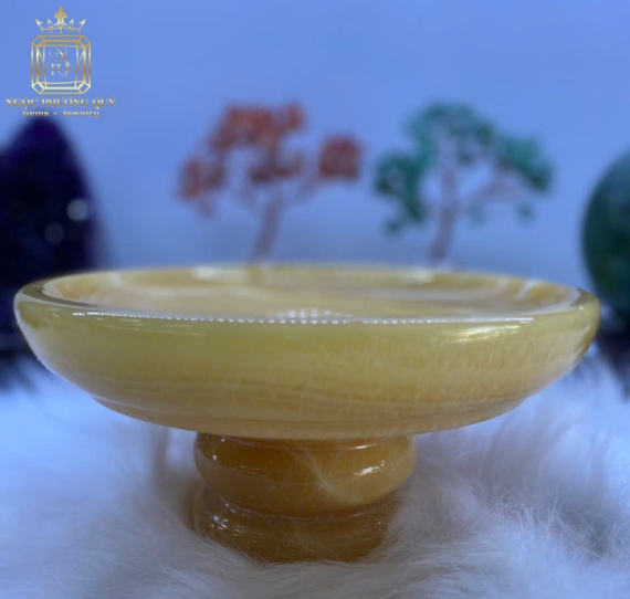 Dĩa trái cây 20 NHL 