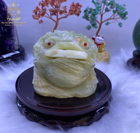 Thiềm thừ Pakistan 12