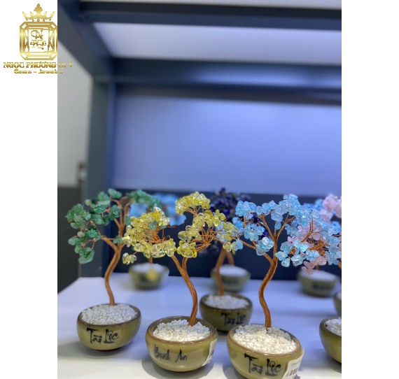 Chậu Tài Lộc Aqua