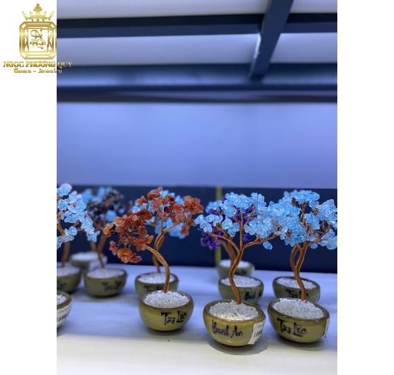 Chậu Tài Lộc Aqua