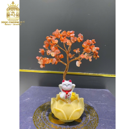 Chậu Tài Lộc Đế Sen