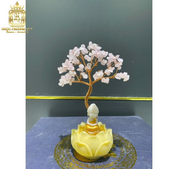 Chậu Tài Lộc Đế Sen