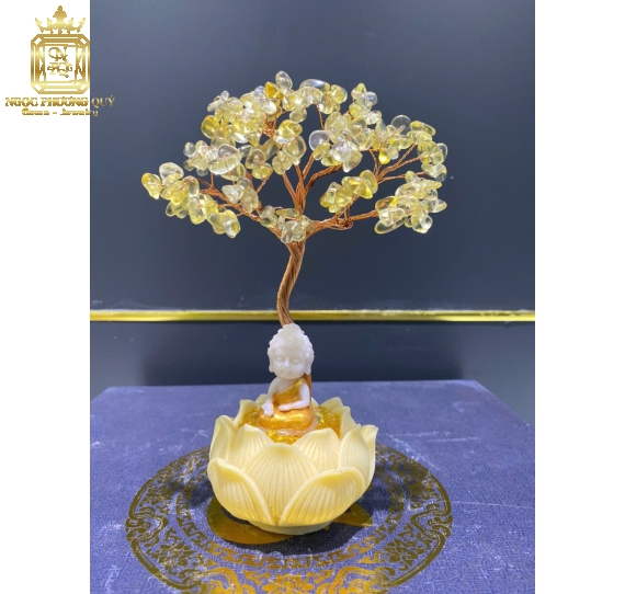 Chậu Tài Lộc Đế Sen