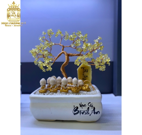 Chậu Bonsai Bình An Tài Lộc
