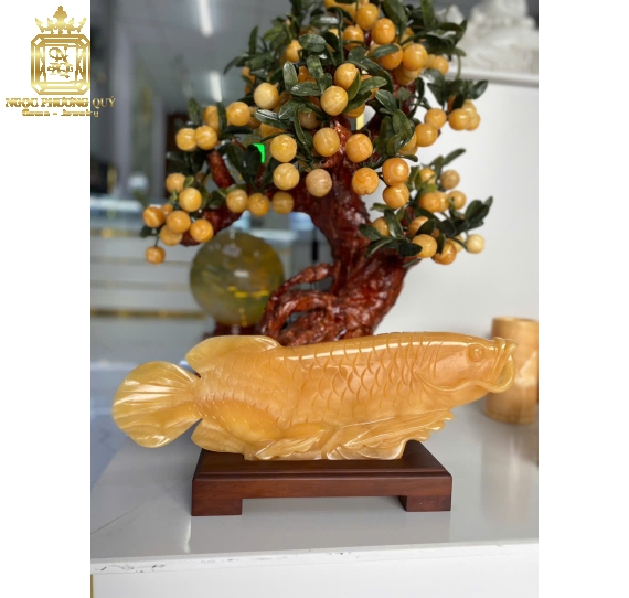 Cá rồng ngọc hoàng long ,dài 50