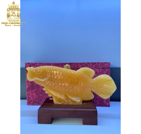 Cá rồng ngọc hoàng long ,dài 30