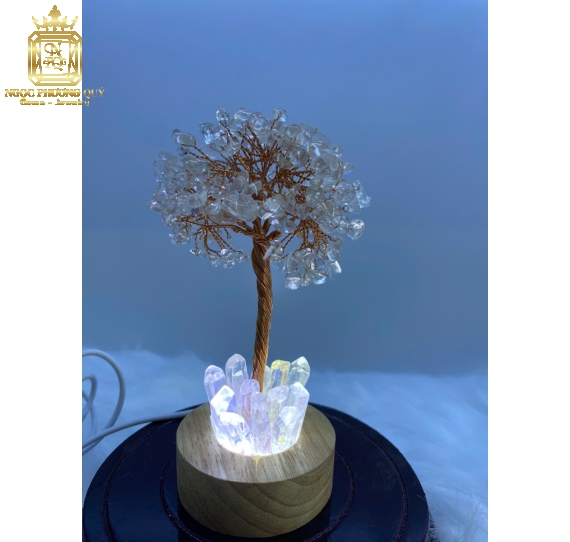 Cây tài lộc thạch anh đế đèn
