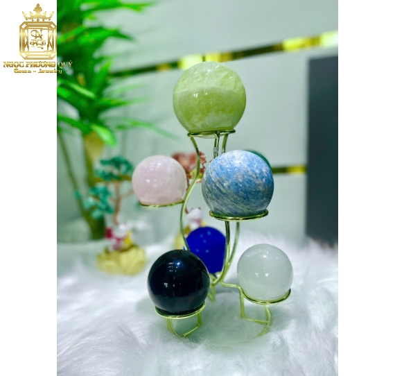 Cây Thất tinh trận TA