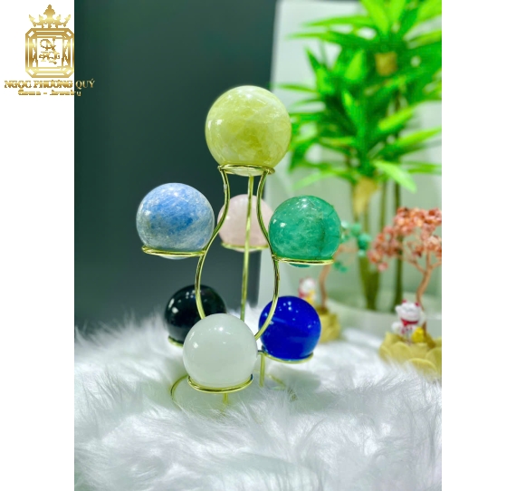 Cây Thất tinh trận TA