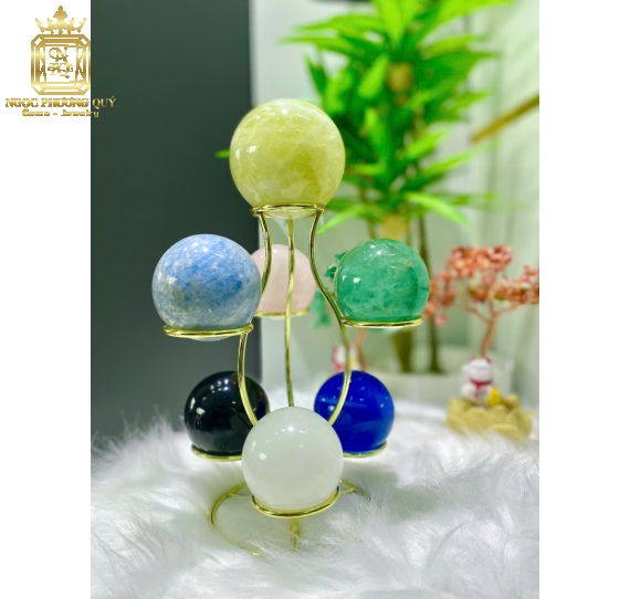 Cây Thất tinh trận TA