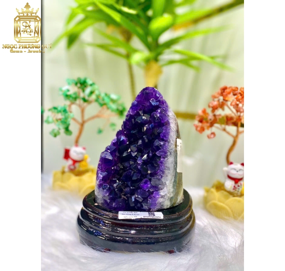 Hốc TA tím