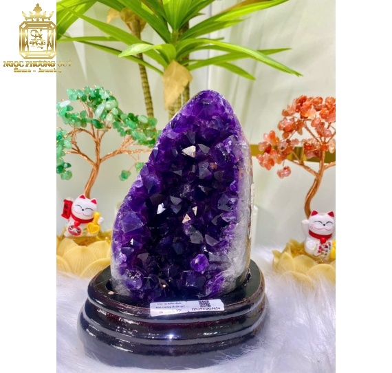 Hốc TA tím