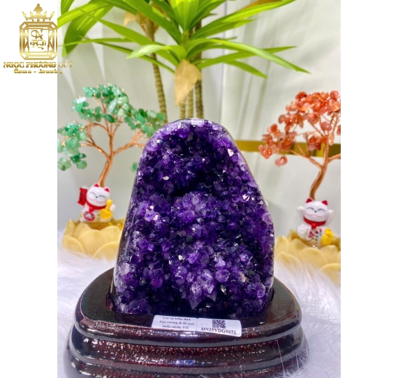 Hốc TA tím