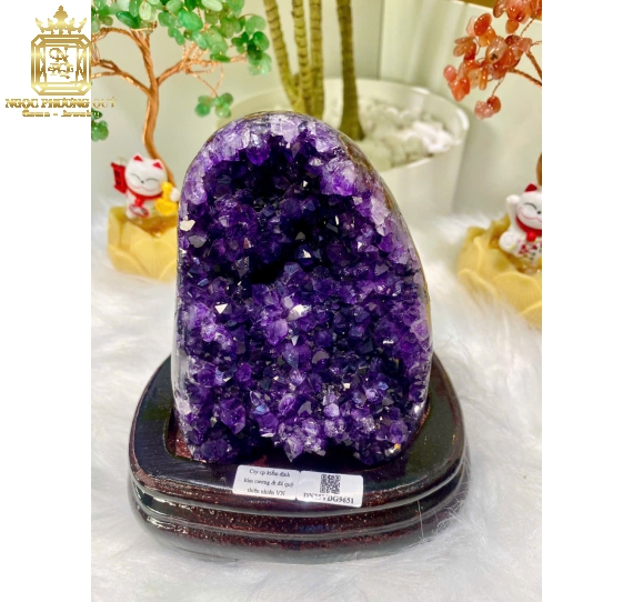 Hốc TA tím